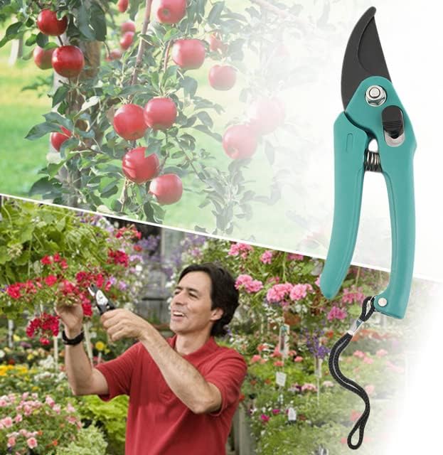 Kertészkedés, Metszés Nyírás Metszet kerti olló Eszköz Pruner Olló Ág Vágó Zár Tavaszi vágó gardensping
