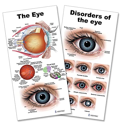 Eye12 Darab Ajándék Doboz, szemészeti osztály, illetve a Diákok