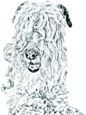 Lakeland Terrier, Ovális alakú Sírkő a Kerámia egy Kép egy Kutyát